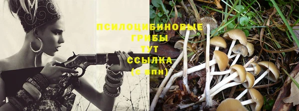 кокаин перу Вяземский