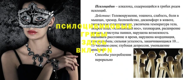 молекула духа Волоколамск