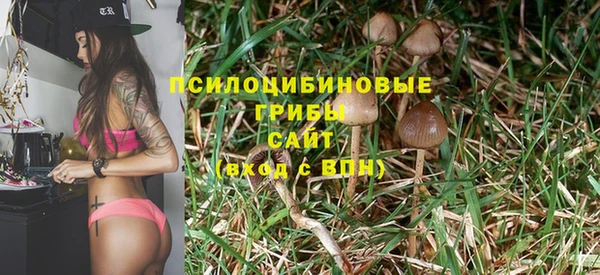 молекула духа Волоколамск