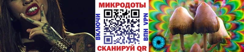 Купить где  Знаменск  Галлюциногенные грибы Psilocybe 